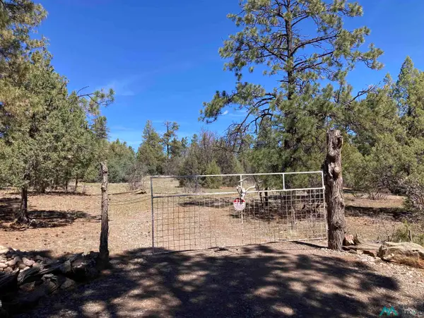 TBD Doe Rim Drive, Rutheron, NM 87551