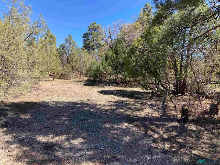 TBD Doe Rim Drive, Rutheron, NM 87551 - #3