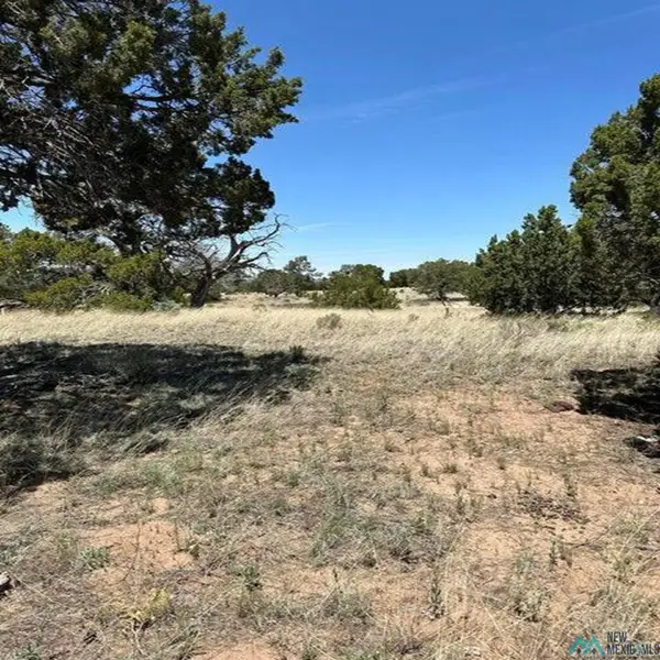 662 State Route 603, Pie Town, NM 5