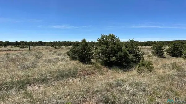 55 Elk Trail, Pie Town, NM 5