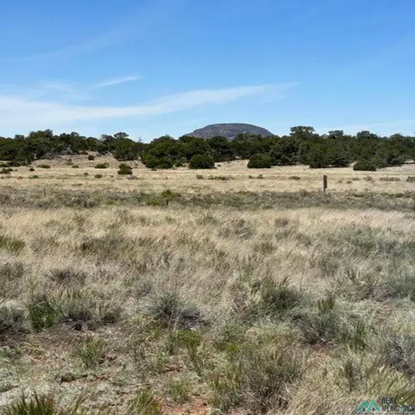 Xx Blue Hills Trail, Pie Town, NM 5