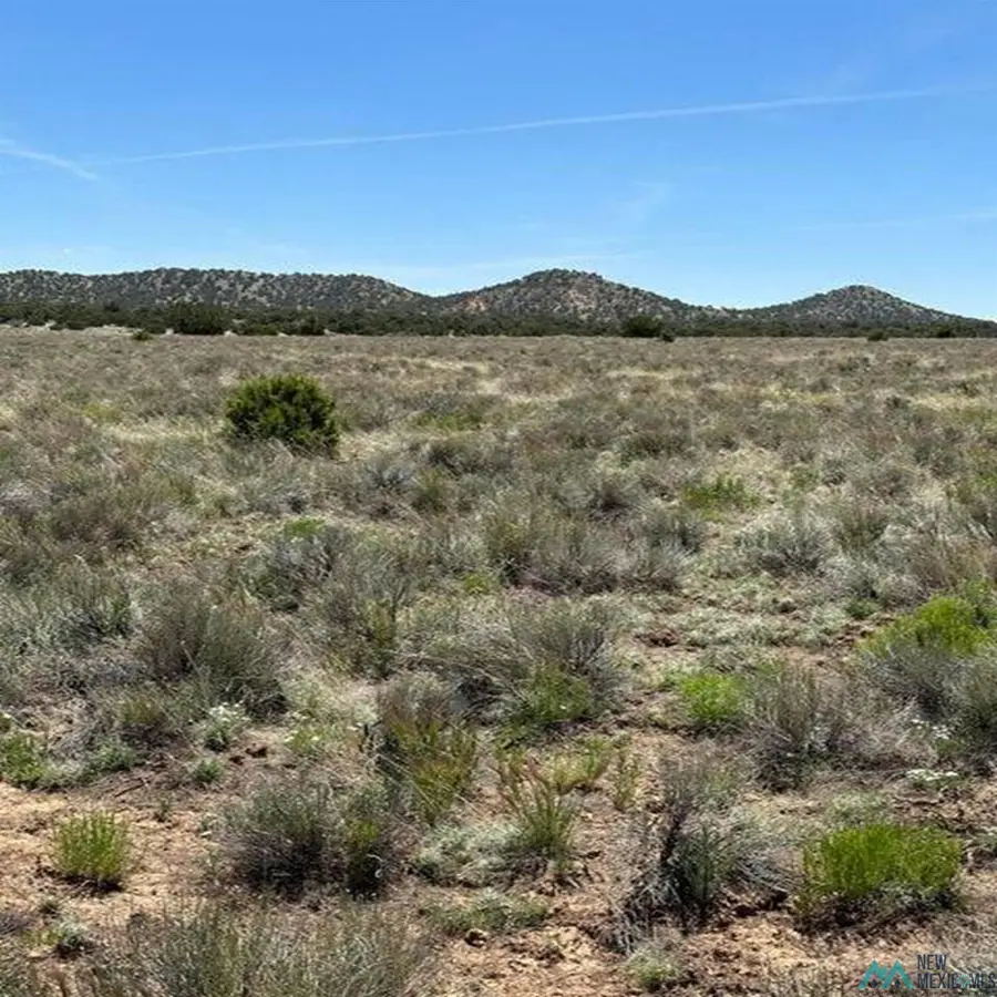 Xx Blue Hills Trail, Pie Town, NM 5 - #2