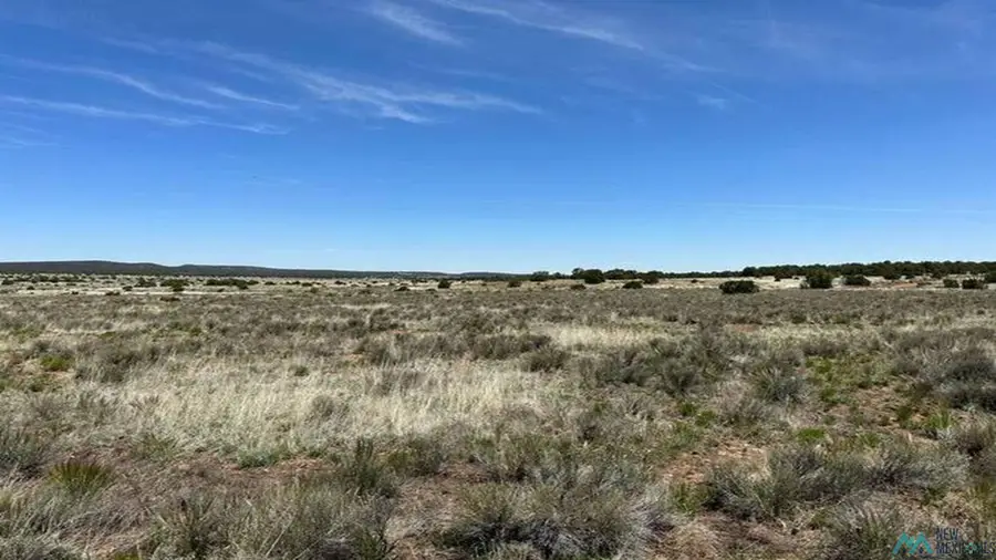 Xx Blue Hills Trail, Pie Town, NM 5 - #3