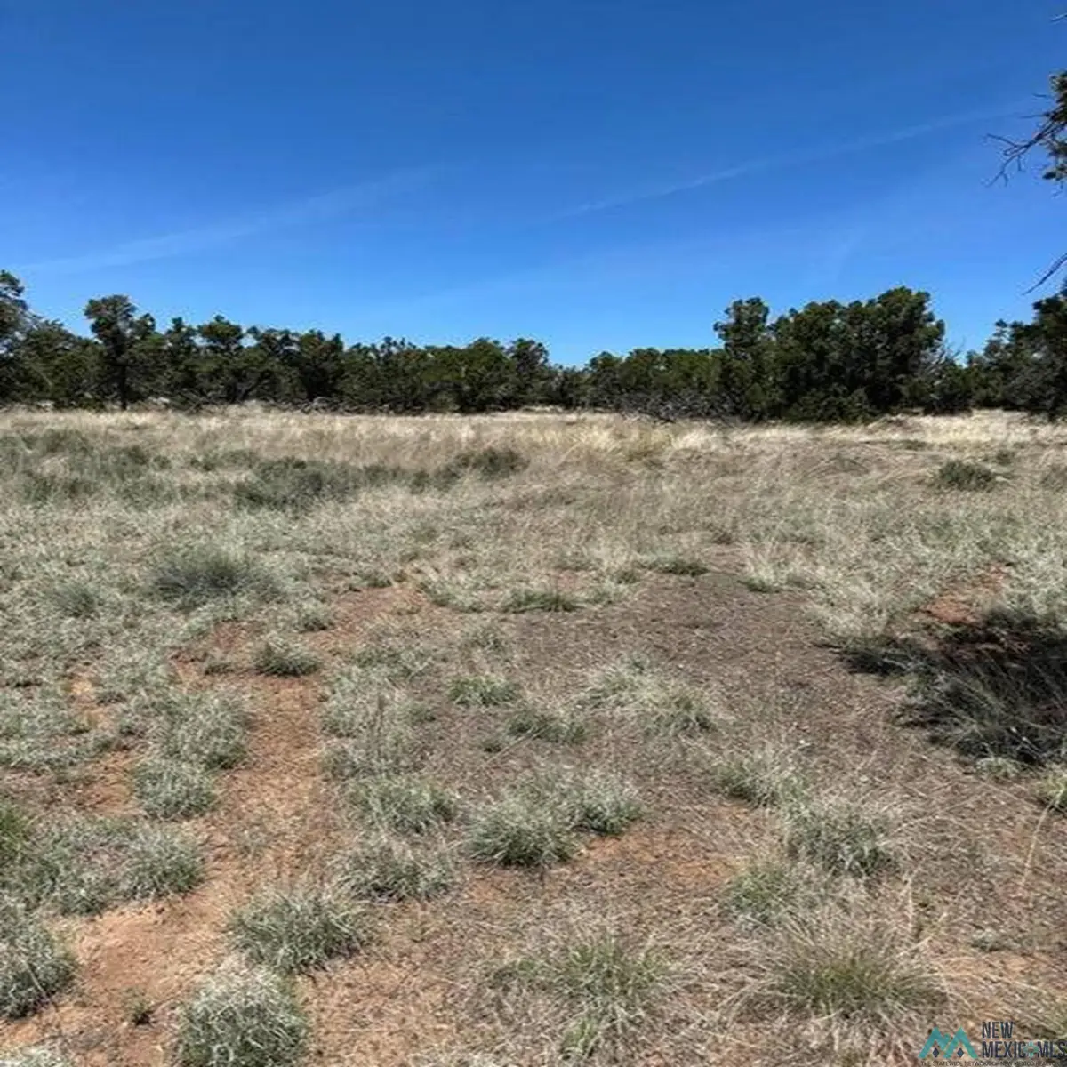 2 Rabbit Circle, Pie Town, NM 5 - #1