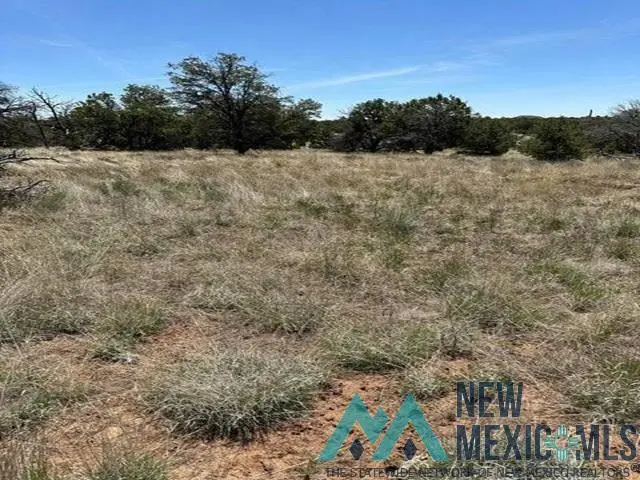 2 Rabbit Circle, Pie Town, NM 5 - #3