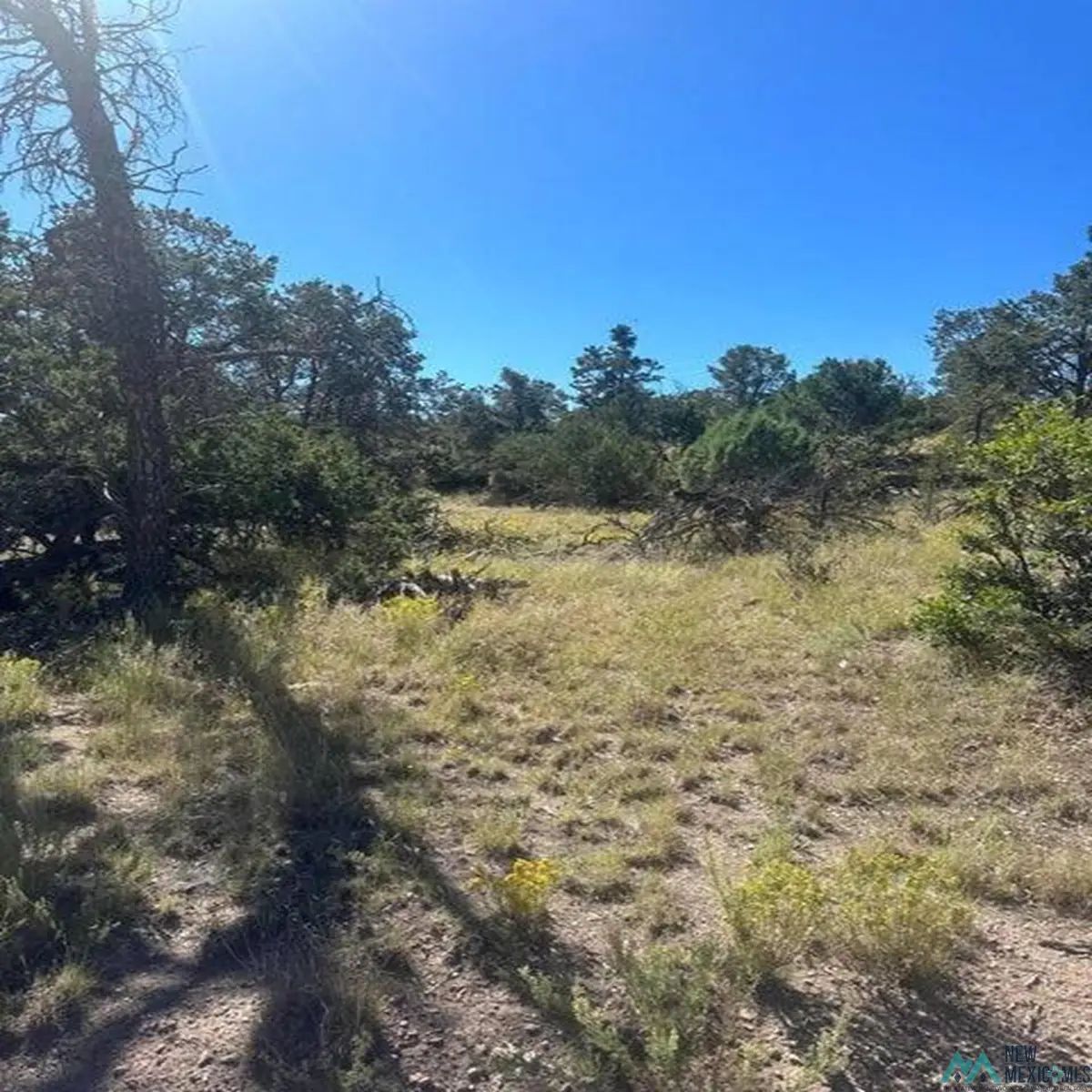 Xx Lookout Circle, Homestead, NM 5 - #1
