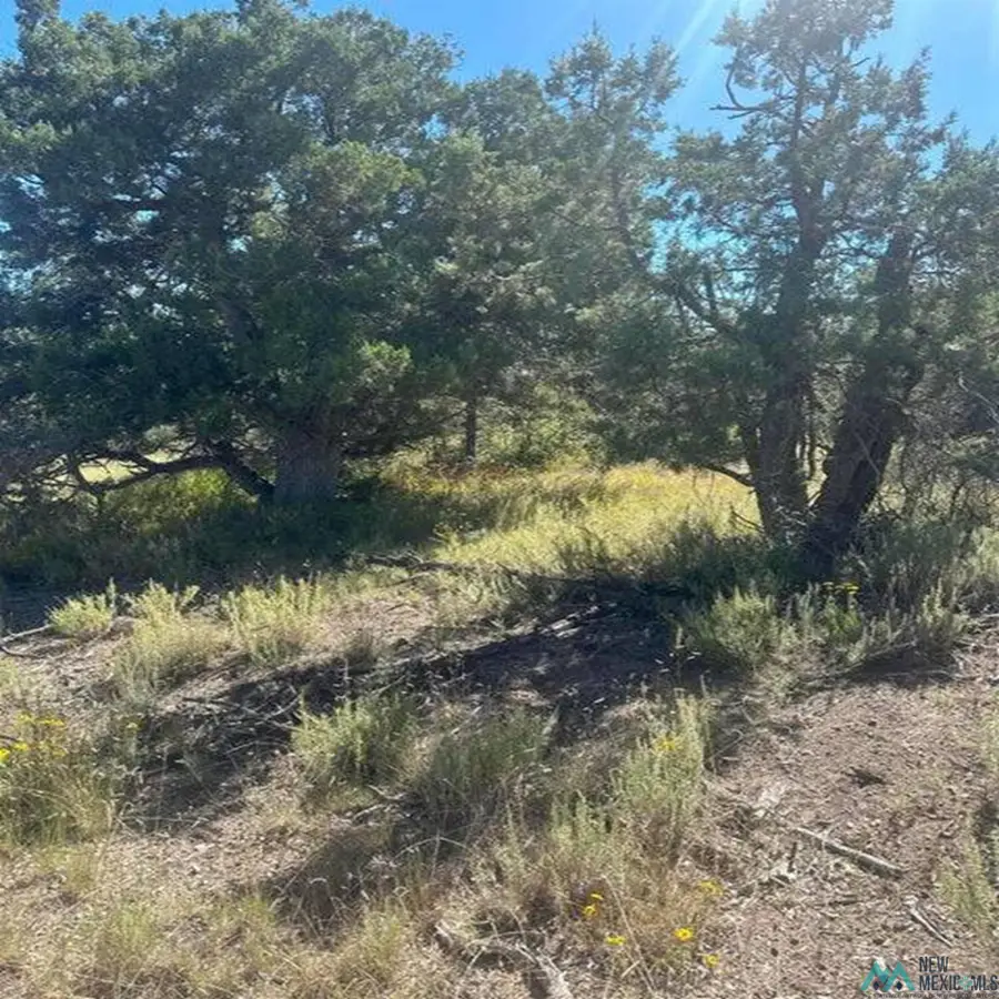 Xx Lookout Circle, Homestead, NM 5 - #2
