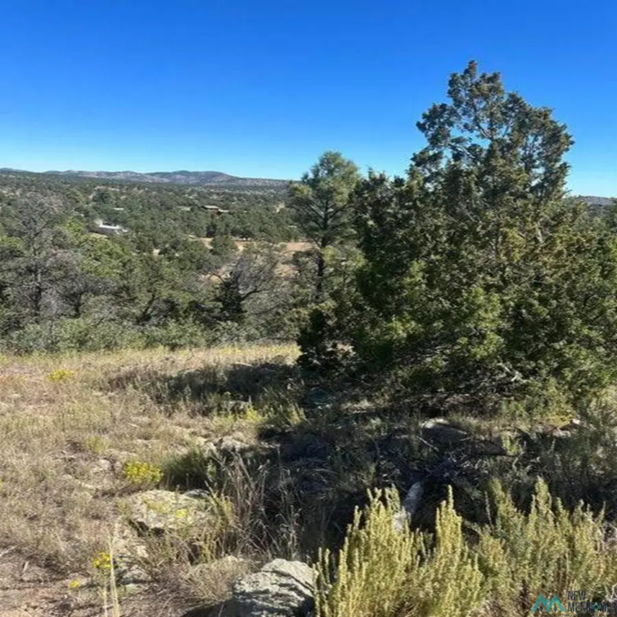 Xx Lookout Circle, Homestead, NM 5 - #3