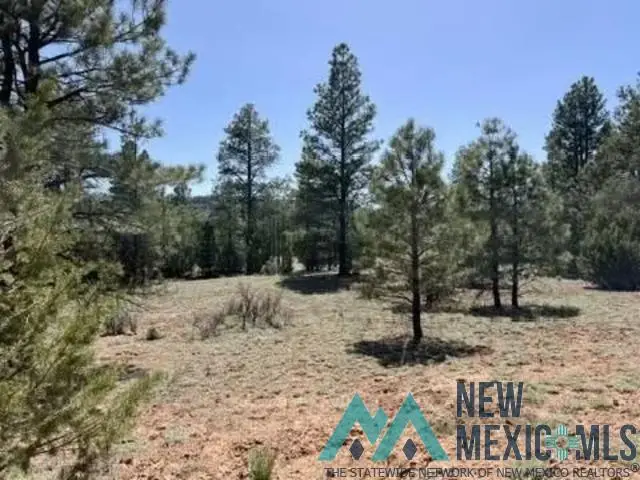 807 Timberlake Road, Ramah, NM 87321 - #1