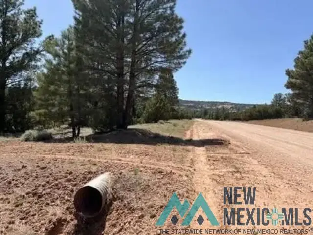 807 Timberlake Road, Ramah, NM 87321 - #3