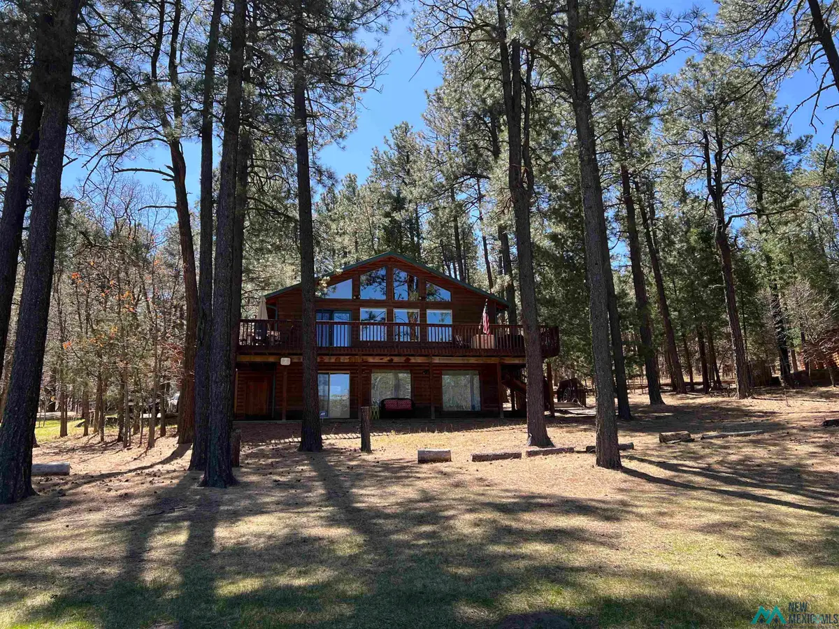 68 E Forest Drive, Rociada, NM 87742 - #1