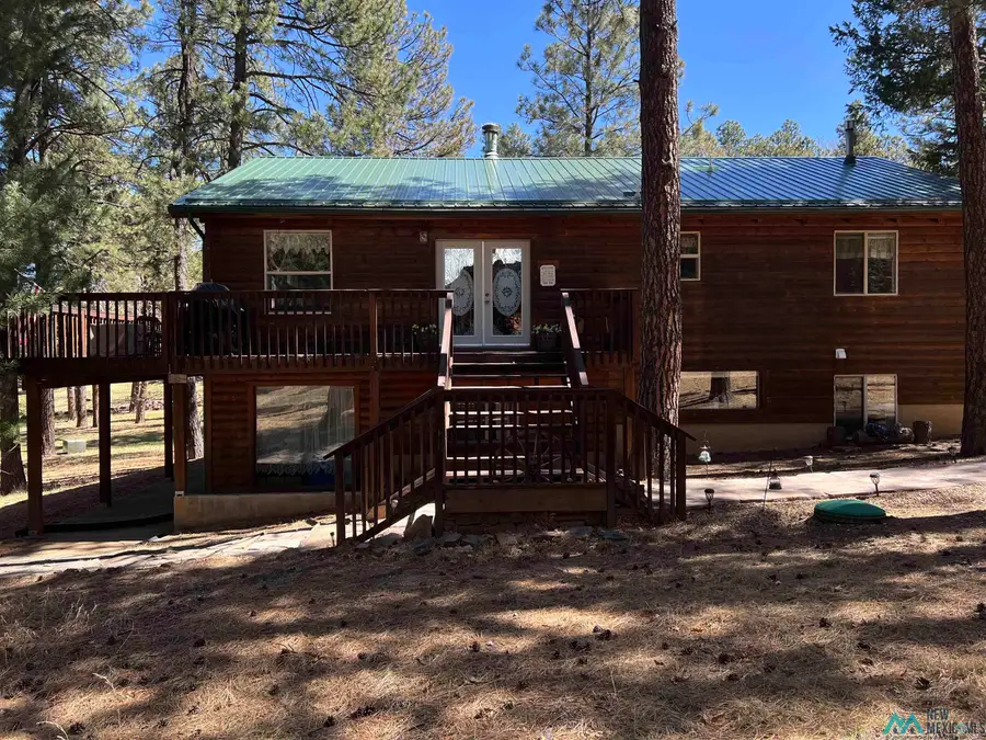 68 E Forest Drive, Rociada, NM 87742 - #2
