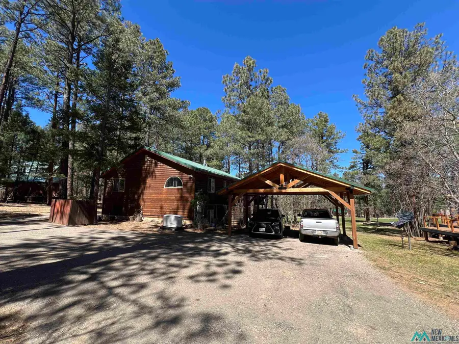 68 E Forest Drive, Rociada, NM 87742 - #3
