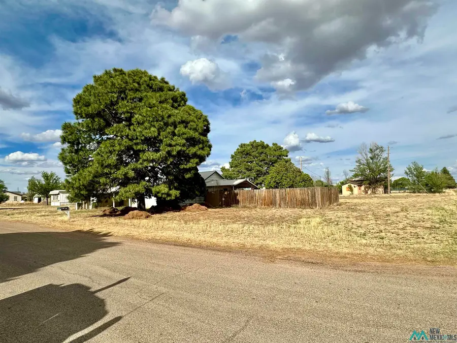405 N 8th Street, Melrose, NM 88124 - #3