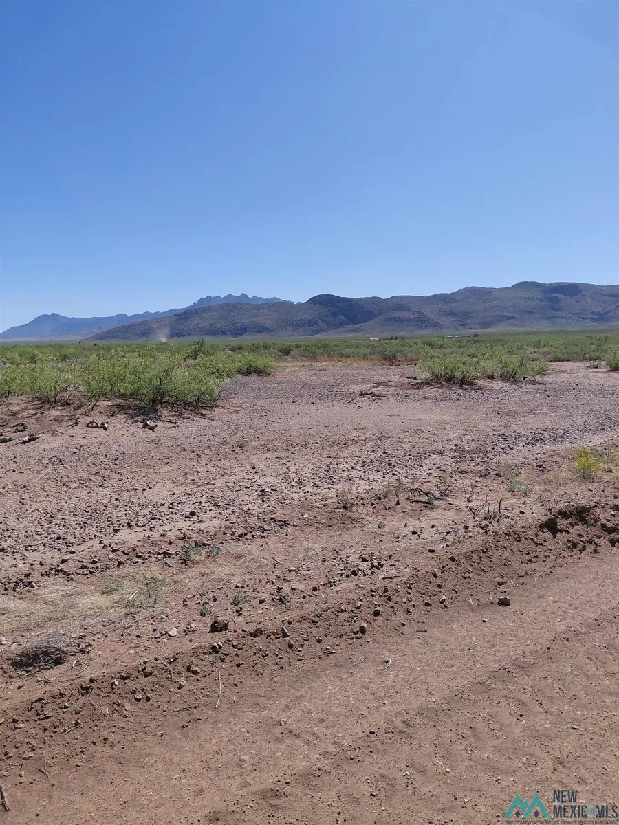 XX105 Joshua Road, Deming, NM 88030 - #2