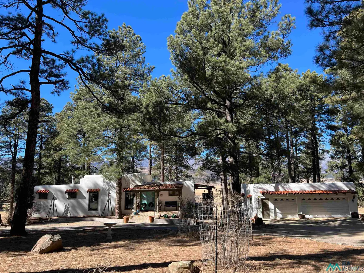 38 Forest Drive, Rociada, NM 87742 - #1