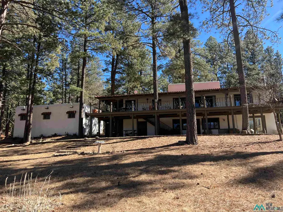 38 Forest Drive, Rociada, NM 87742 - #2