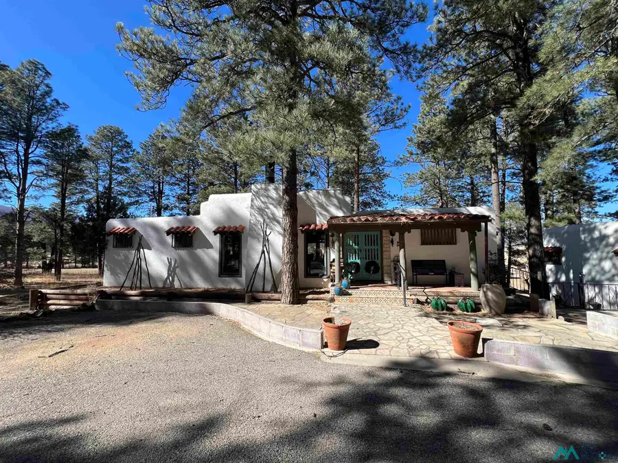 38 Forest Drive, Rociada, NM 87742 - #3