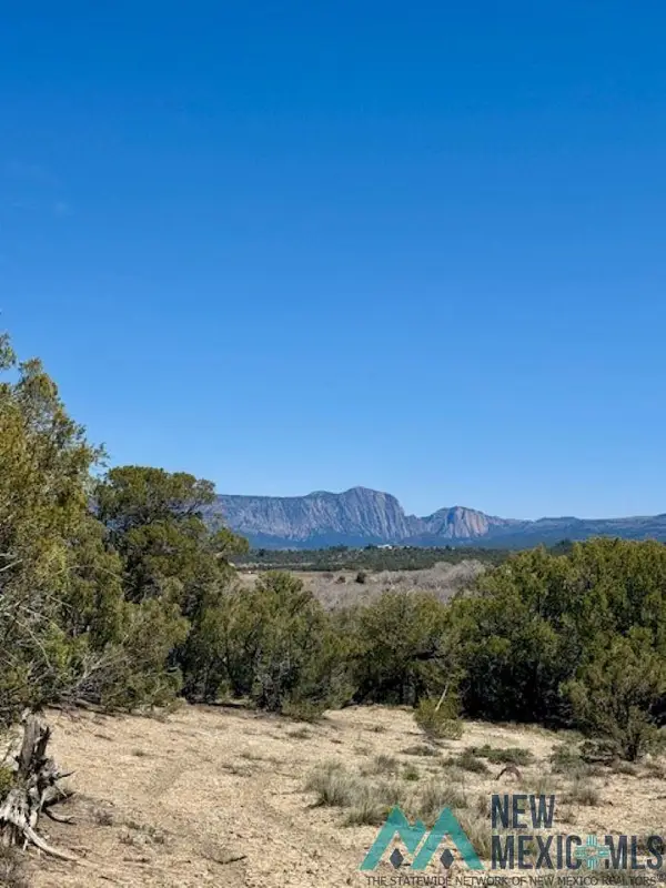 TBD Cr 336, Rutheron, NM 87551