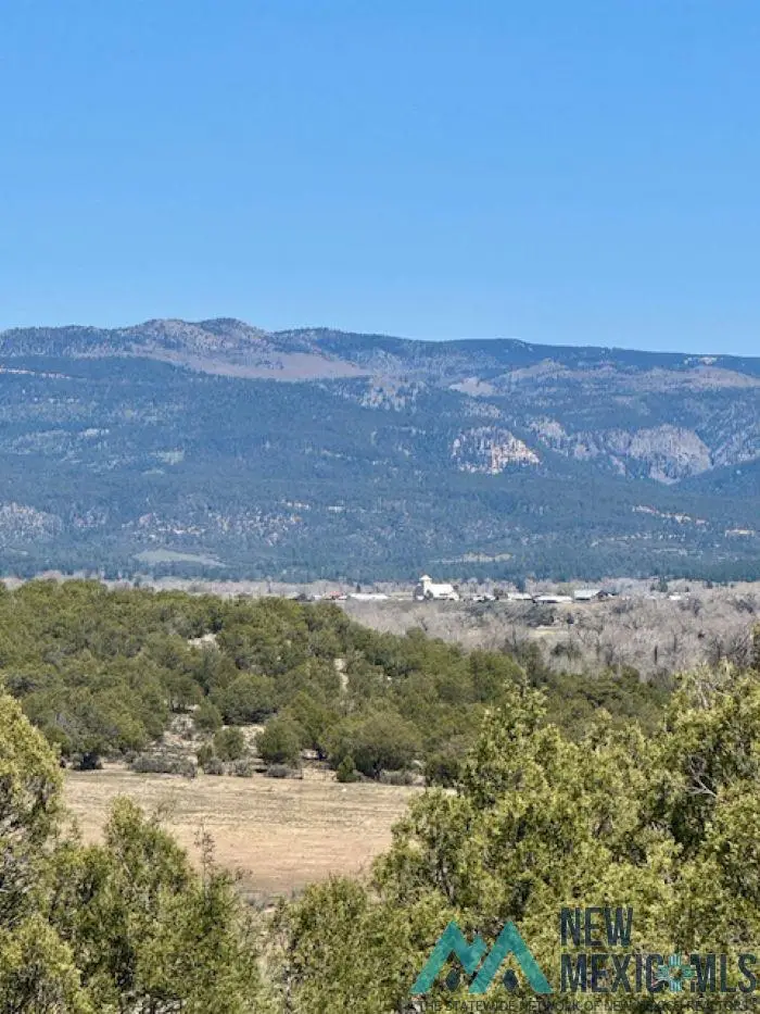 TBD Cr 336, Rutheron, NM 87551 - #2
