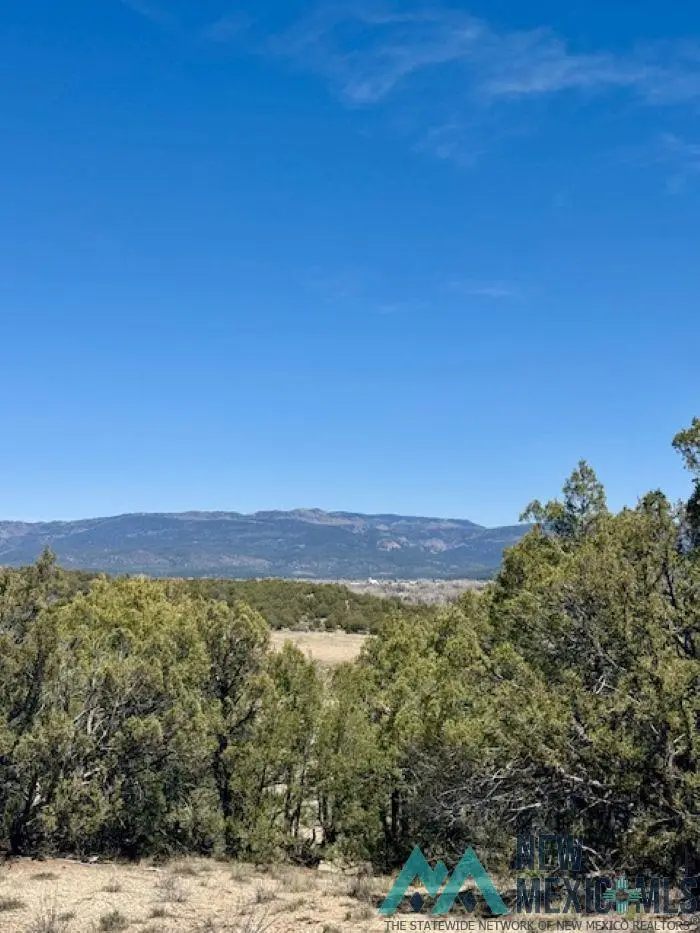TBD Cr 336, Rutheron, NM 87551 - #3