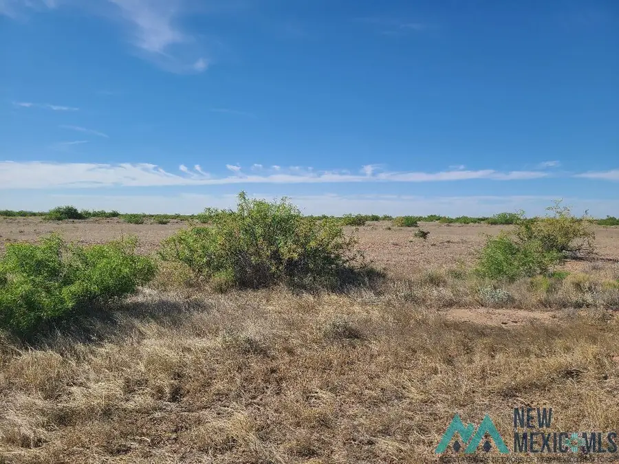 XXXX Pampas Rd. Se Road, Deming, NM 88030 - #2