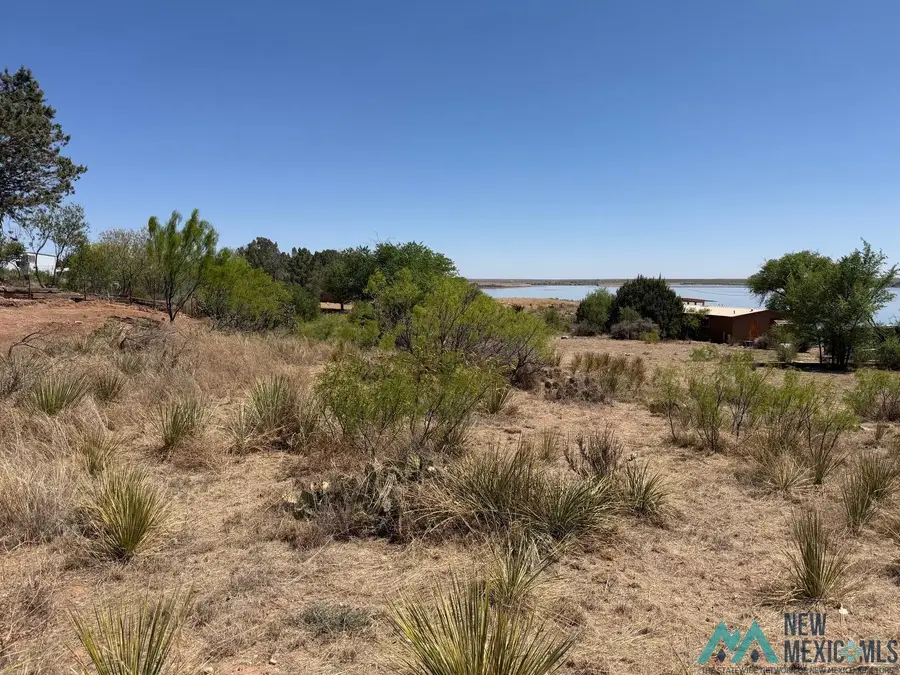 108 Ute Drive, Logan, NM 88426 - #2