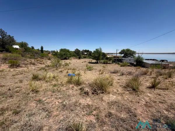110 Ute Drive, Logan, NM 88426