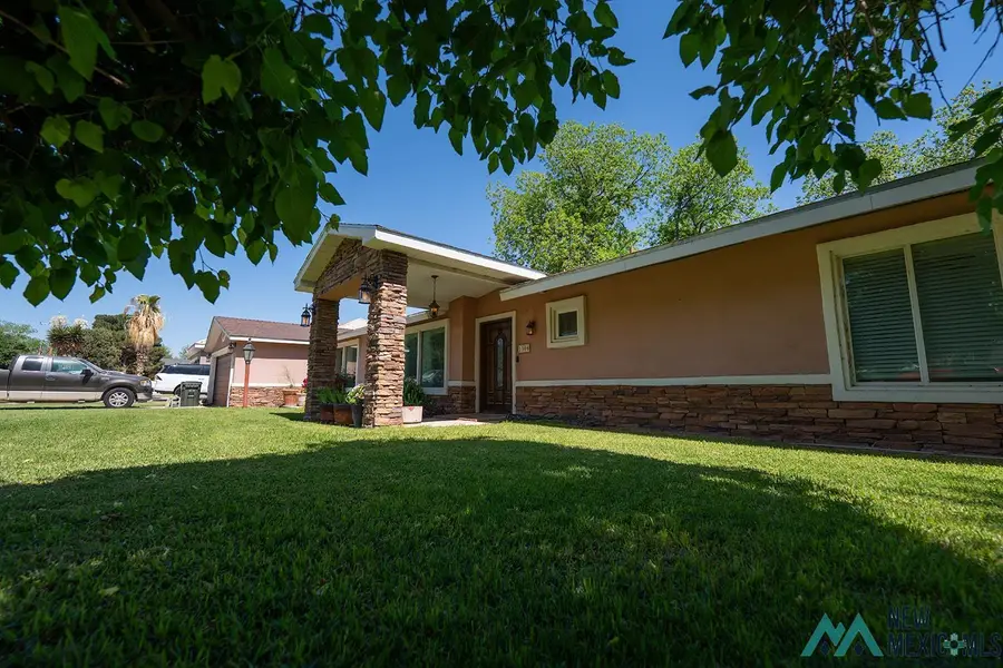 1308 W Riverside Drive, Carlsbad, NM 88220 - #2