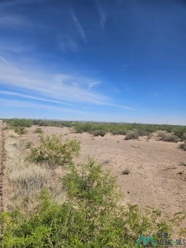 XXX SE Calandra, Deming, NM 88030