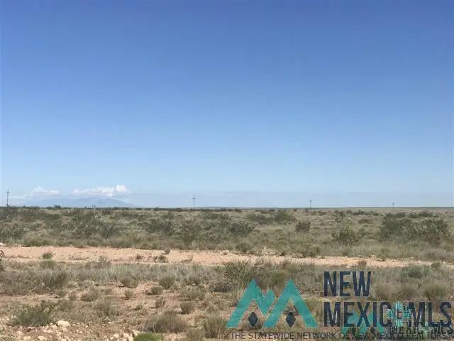 00 E Morgan Road, Hagerman, NM 88232 - #1