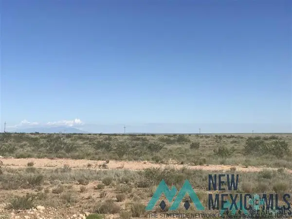 00 E Morgan Road, Hagerman, NM 88232