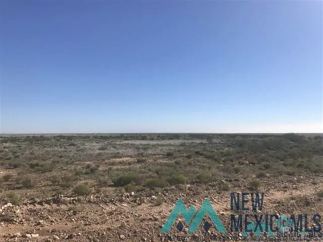 00 Buffalo Valley Road, Hagerman, NM 88232 - #2