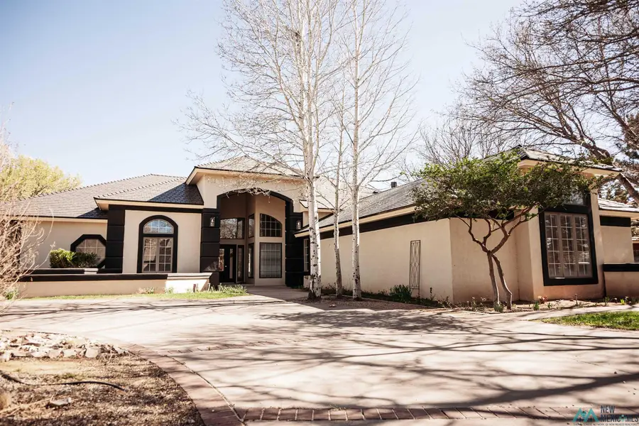 156 Sandzen Drive, Clovis, NM 88101 - #2