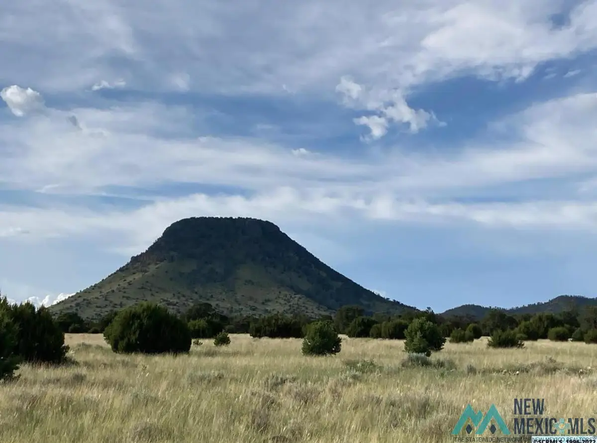 19 Coyote Trail, Datil, NM 87821 - #1