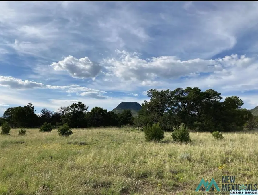 19 Coyote Trail, Datil, NM 87821 - #2