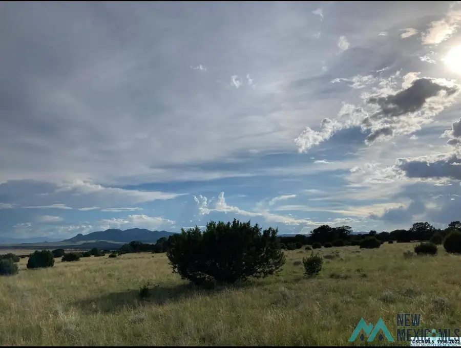 19 Coyote Trail, Datil, NM 87821 - #3