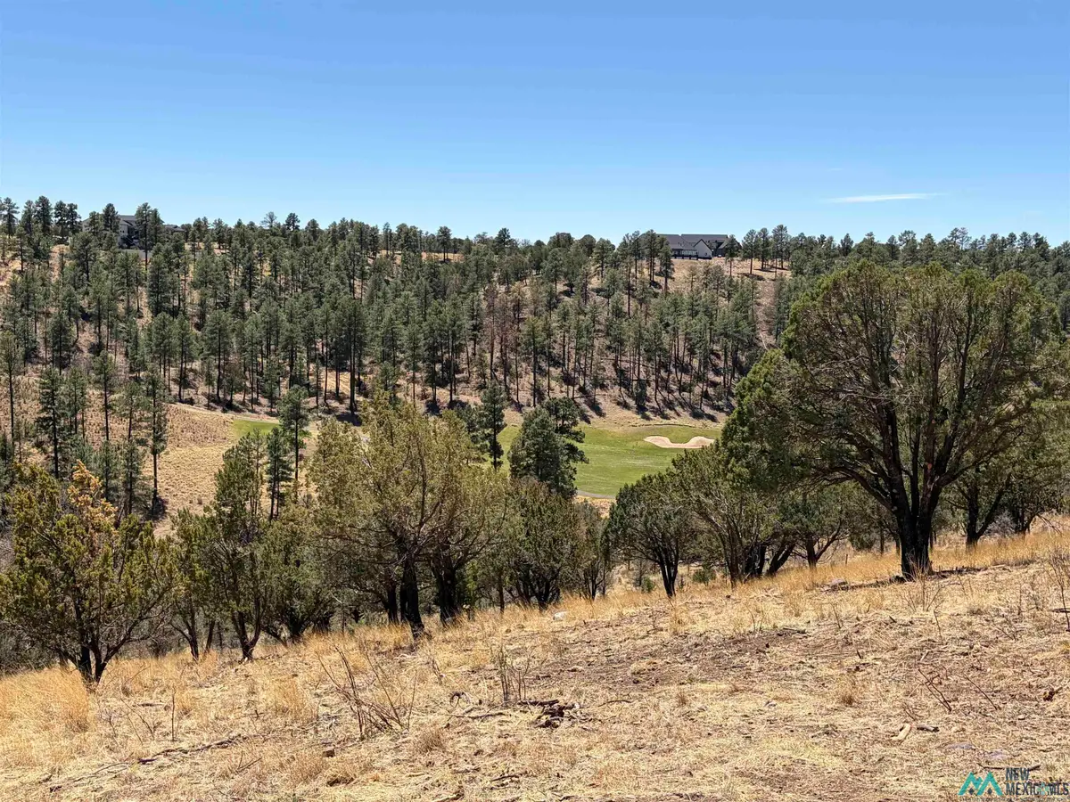 136 Bobby Jones Court, Alto, NM 88312 - #1