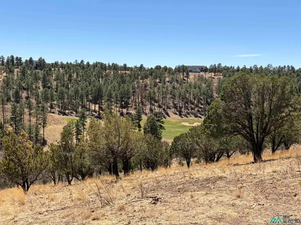 136 Bobby Jones Court, Alto, NM 88312