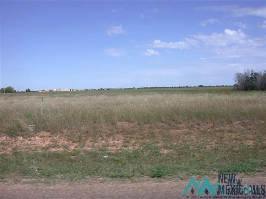 4501 W 21st Street, Clovis, NM 88101 - #2