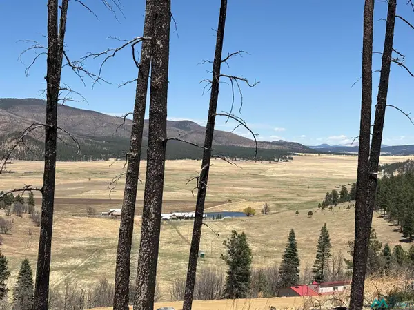 Lots 139-140 Calle De Tecolote Drives, Rociada, NM 87742