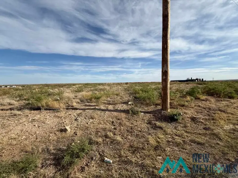 3700 Hidalgo Road, Carlsbad, NM 88220 - #2