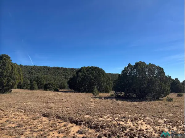 above Serafina Road, Serafina, NM 87569