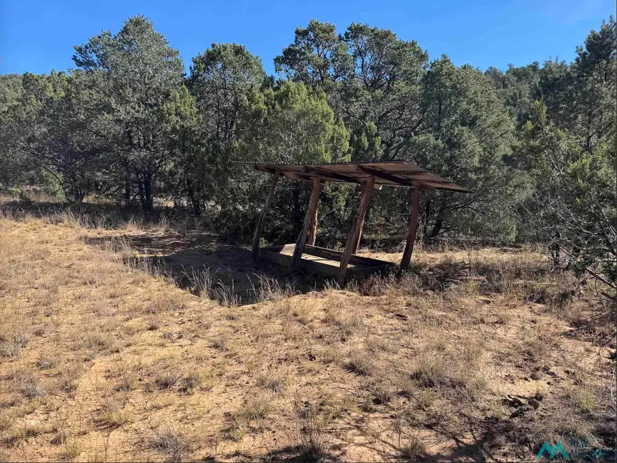 above Serafina Road, Serafina, NM 87569 - #2