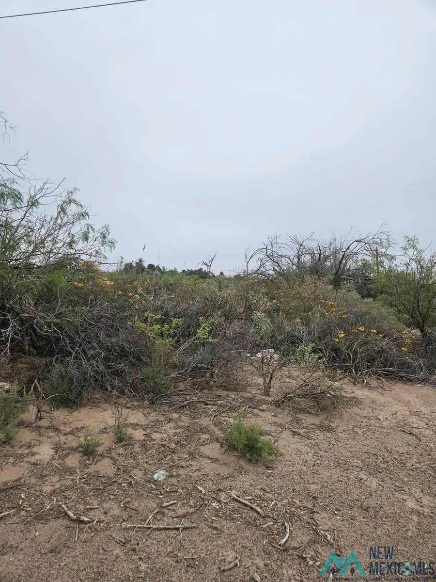 2810 / 2790 SW Highway 418 Sw, Deming, NM 88030 - #3