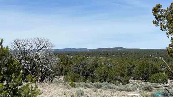 59 Solano Road, Pie Town, NM 87827