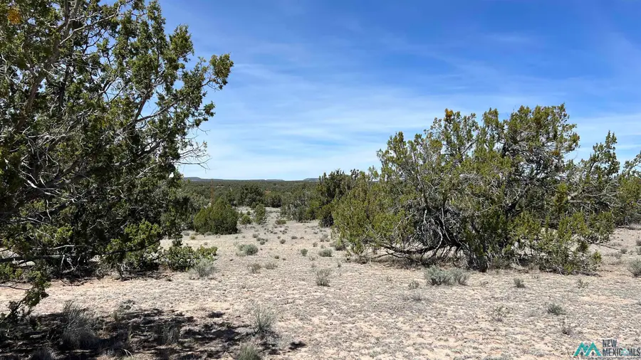 59 Solano Road, Pie Town, NM 87827 - #3