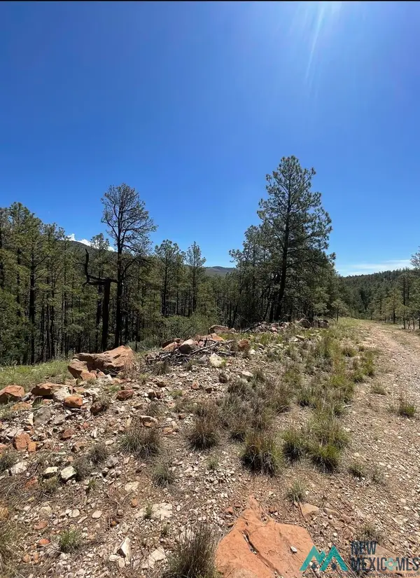 29 Beauregard Drive, Timberon, NM 88350