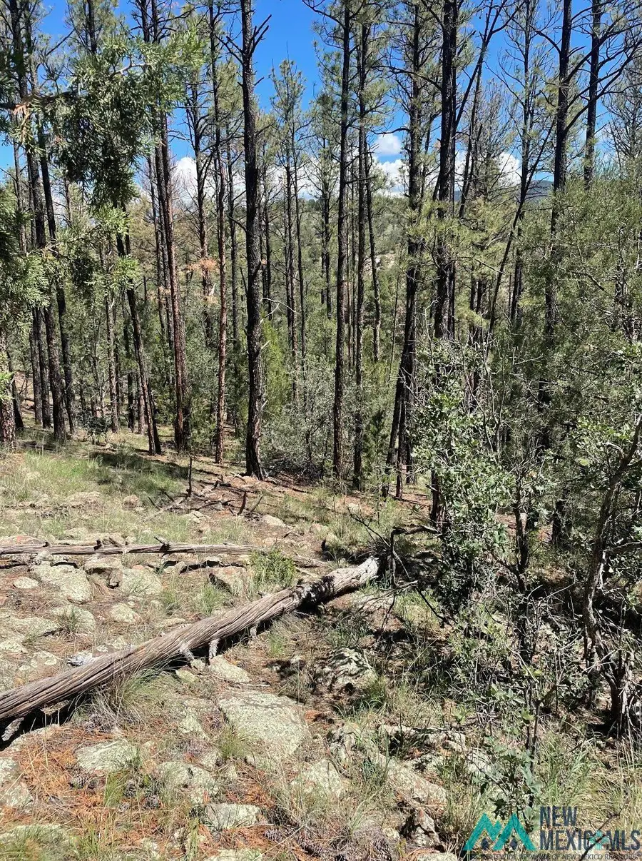 29 Beauregard Drive, Timberon, NM 88350 - #2