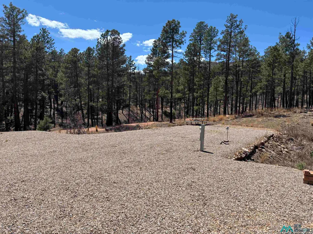 1 Blue Jay Road, Rociada, NM 87742 - #1